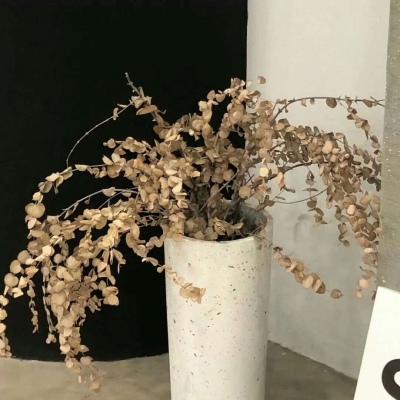 兽设四季场景绘制FurryQQ群